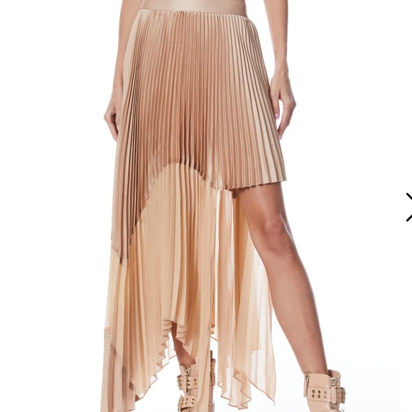Alice & Olivia Pleated Asymmetric Midi Skirt - Picture 1 of 4